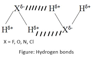 Hydrogen bonds